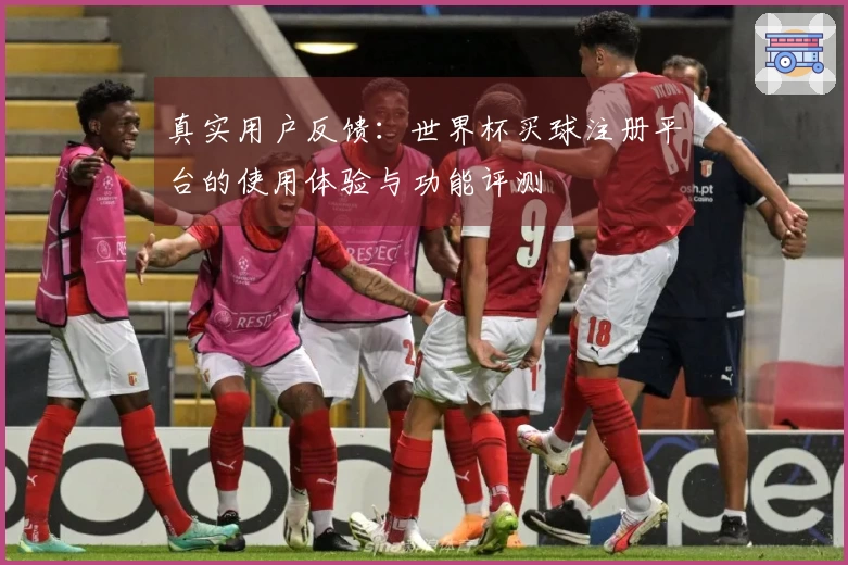 真实用户反馈：世界杯买球注册平台的使用体验与功能评测