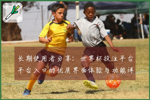 长期使用者分享:世界杯投注平台平台入口的优质界面体验与功能详解