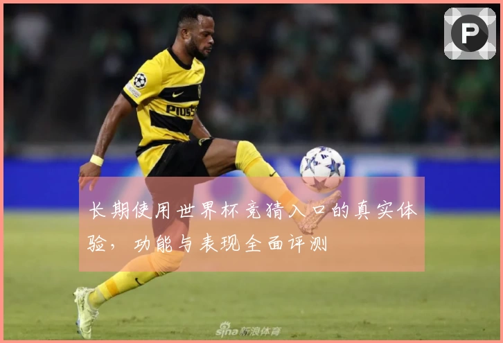 长期使用世界杯竞猜入口的真实体验，功能与表现全面评测