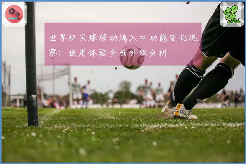 世界杯买球移动端入口功能变化观察：使用体验全面升级分析